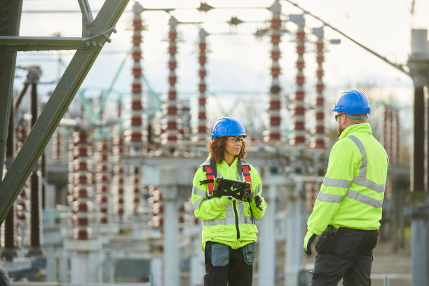 Best Generator Installation Services  in Waterman, IL
