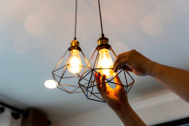 Best Home Electrical Repair  in Waterman, IL