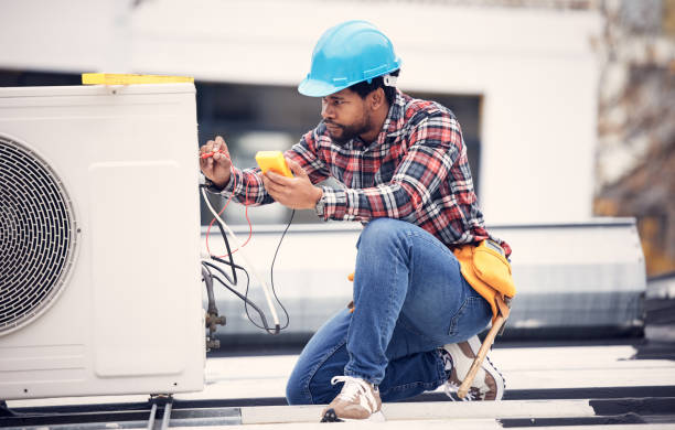 Best Affordable Electrician  in Waterman, IL