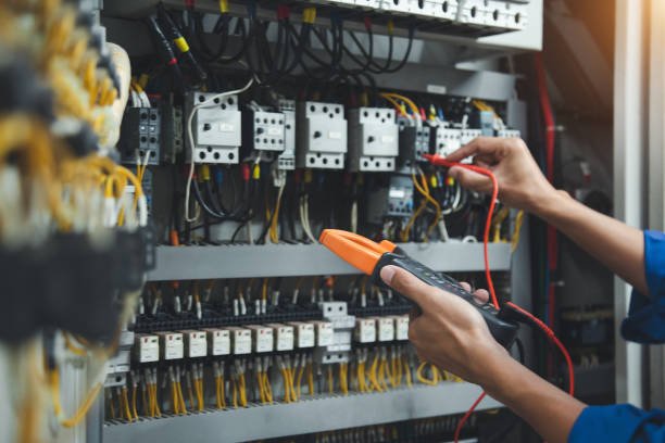 Best Electric Panel Repair  in Waterman, IL